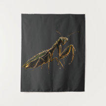 Golden Praying Mantis Black & Gold