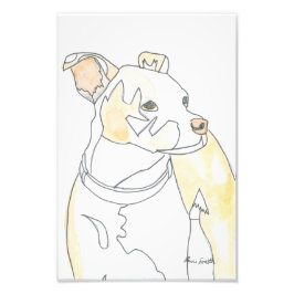 Golden Pup Print フォトプリント