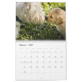 Golden Retrieverカレンダー2023あなたの写真 カレンダー (2月 2027)