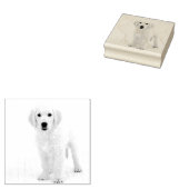 Golden Retriever ラバースタンプ (押印)