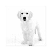 Golden Retriever ラバースタンプ (インプリント)