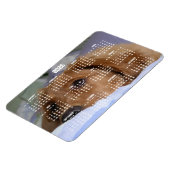 Golden Retriever Calendar 2026 Large Photo Magnet マグネット (左側)