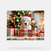 Golden Retriever Christmas アクリルサイン (正面)