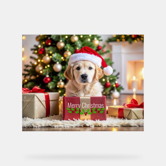 Golden Retriever Christmas アクリルサイン (正面)