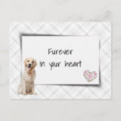 Golden Retriever Condolences for Pet Loss ポストカード (正面)