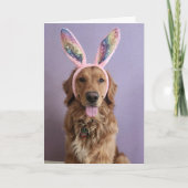 Golden Retriever Easter card カード (正面)