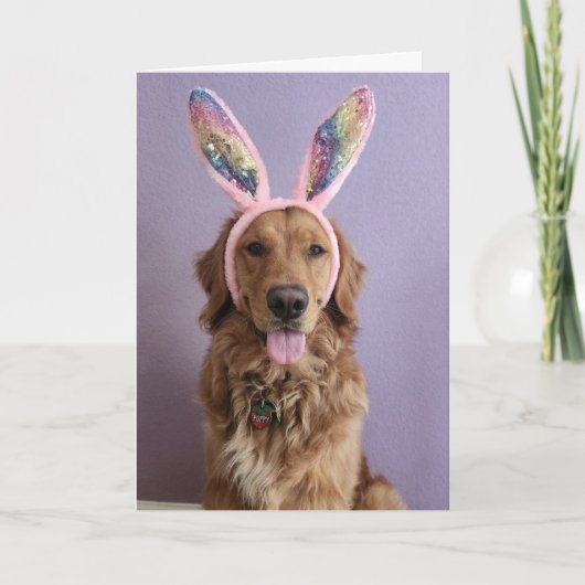 Golden Retriever Easter card カード (正面)