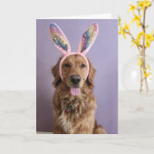 Golden Retriever Easter card カード (黄色い花)