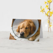 Golden Retriever Get Well Soon カード (黄色い花)