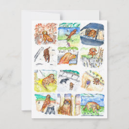 Golden Retriever Greeting Card シーズンカード