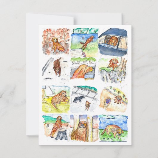 Golden Retriever Greeting Card シーズンカード (正面)