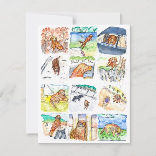 Golden Retriever Greeting Card シーズンカード (正面)