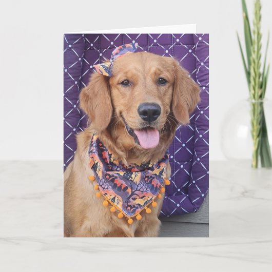 Golden Retriever Halloween greeting card カード (正面)