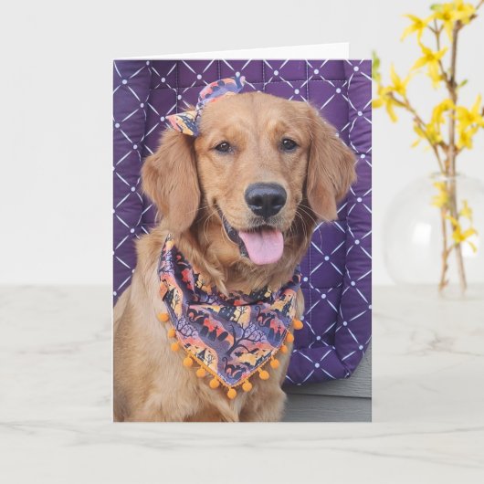 Golden Retriever Halloween greeting card カード (黄色い花)