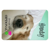 Golden Retriever Mondayおもしろいはオプションである必要がある マグネット (横)