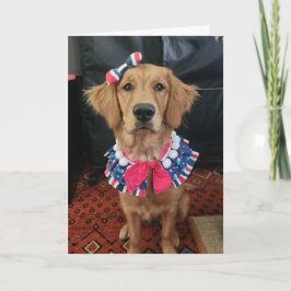 Golden Retriever patriotic, 4th of July greetings サンキューカード