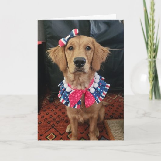 Golden Retriever patriotic, 4th of July greetings サンキューカード (正面)