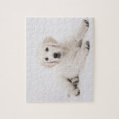 Golden Retriever Photo ジグソーパズル (縦)