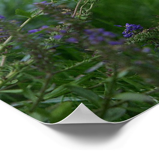 Golden Retriever Puppy ポスター (角)