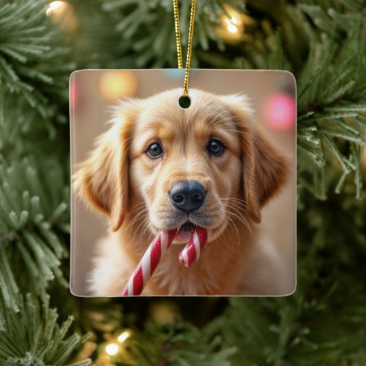 Golden Retriever Puppy With a Candy Cane セラミックオーナメント (ツリー)