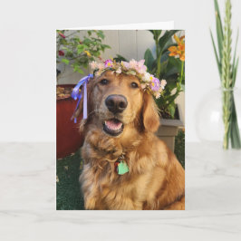 Golden Retriever spring or everyday card カード
