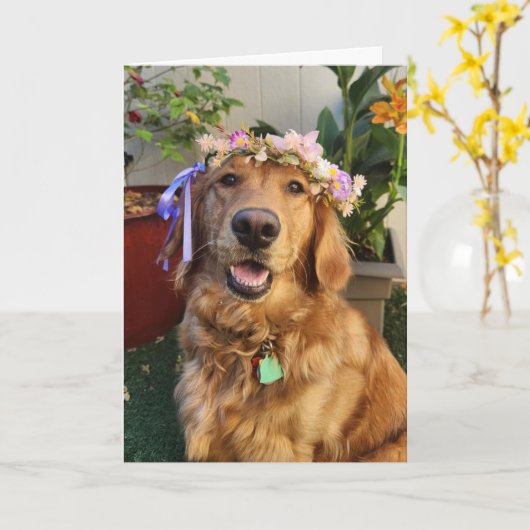 Golden Retriever spring or everyday card カード (黄色い花)