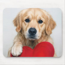 Golden Retriever With a Red Heart Pillow