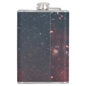 Golden Scorpio Flask フラスク (裏面)