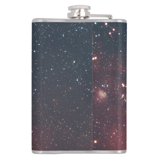 Golden Scorpio Flask フラスク (裏面)