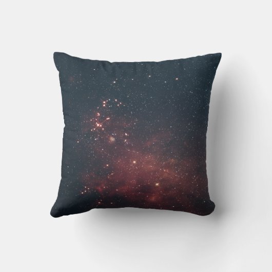 Golden Scorpio Magnet クッション (裏面)