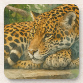 Golden Stillness – Resting Leopard in Foliage コースター (正面)