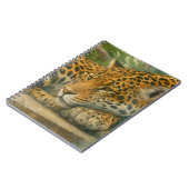 Golden Stillness – Resting Leopard in Foliage ノートブック (左側)