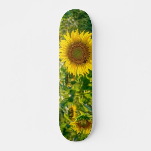 Golden Sunflower Field スケートボード (正面)