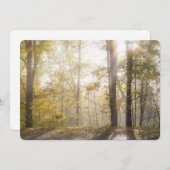 Golden sunlight through autumn trees シーズンカード (正面/裏面)