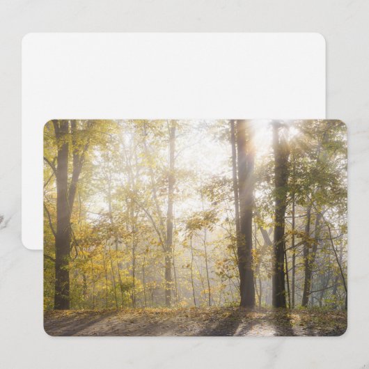 Golden sunlight through autumn trees シーズンカード (正面/裏面)