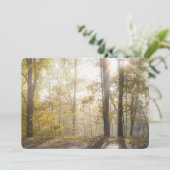 Golden sunlight through autumn trees シーズンカード (スタンド正面)