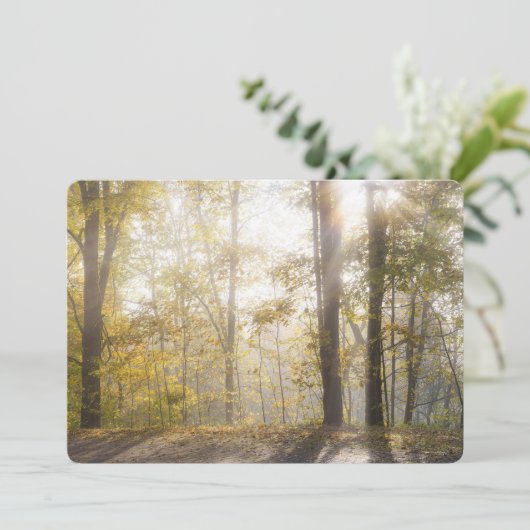 Golden sunlight through autumn trees シーズンカード (スタンド正面)