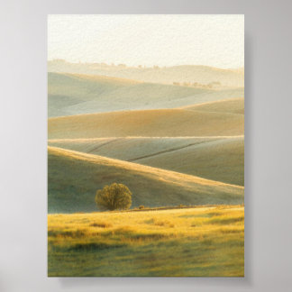 Golden Sunrise Over Rolling Hills Poster ポスター