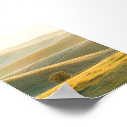 Golden Sunrise Over Rolling Hills Poster ポスター (角)