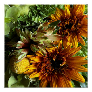 Golden Teddy Bear Sunflower & Alstroemeria Poster ポスター