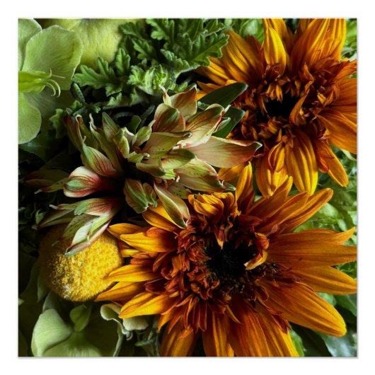 Golden Teddy Bear Sunflower & Alstroemeria Poster ポスター (正面)
