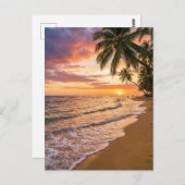 Golden Tropical Sunset Beach Postcard ポストカード (正面/裏面)