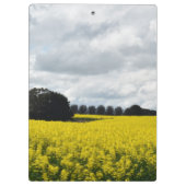 Golden Waves of Streatham クリップボード (裏面)