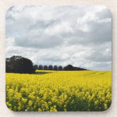 Golden Waves of Streatham コースター (正面)