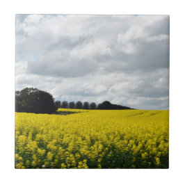 Golden Waves of Streatham タイル