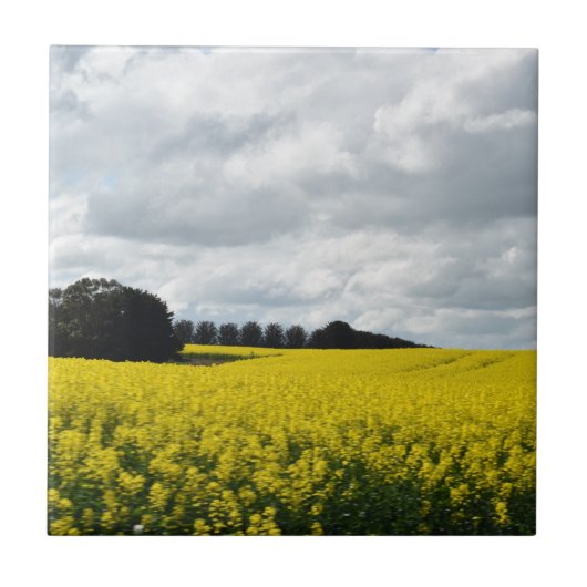 Golden Waves of Streatham タイル (正面)