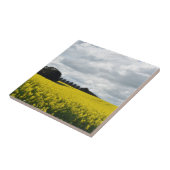 Golden Waves of Streatham タイル (側面)