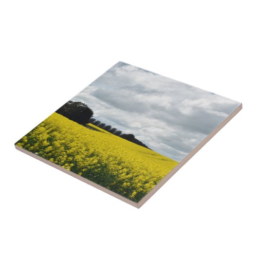 Golden Waves of Streatham タイル (側面)