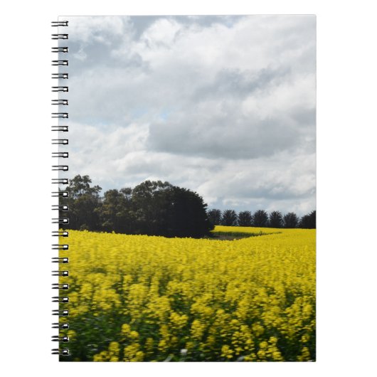 Golden Waves of Streatham ノートブック (正面)