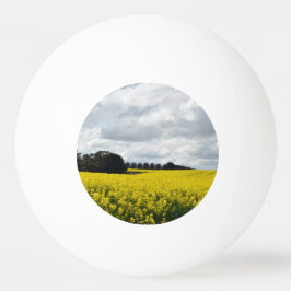 Golden Waves of Streatham 卓球ボール